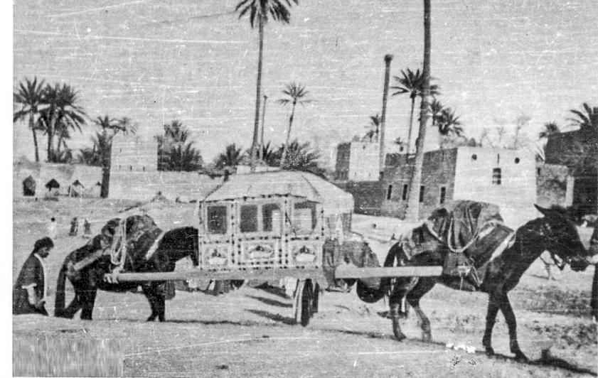        الباص الخشبي يغادر الحلة